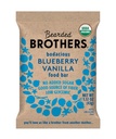 Habemega vennad, orgaanilised veganvalgu energiabatoonid, mustika Vanilla (12 Pack) - gluteenivaba, paleo, kiud, terve 30 | Mitte-Globaalse GMO madala glükeemilise suupisted