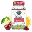 Aed Life Kids Immune Support Gummies koos vitamiin C, D kui D3 ja tsink 3-in-1 igapäevane laste immuunsus - orgaaniline, mitte-GMO, gluteenivaba, taimetoitlane, suhkruvaba, kirsi maitse, 30 päeva pakkumine