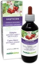 Naturalma Hawthorn (Crataegus oxyacantha) Leht ja õis Alkoholivaba tinktuur - 6,76 fl oz Vedel ekstrakt tilkadena - Taimne täiendus - Vegan