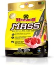 MAMMOTH mass: kaalulangetaja, kõrge kalorsusega valgupulber Treening Smoothie Shake, toidu asendamine, madal suhkur, vadaku isolaadi kontsentraat, kaseiini valgu segu, kõrge valk (Maasikas, 5lb)