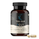 TERRA ORIGIN Healthy Gut Reset PM | 60 Veggie kapsleid | Natural Sleep Aid Supplement for Sleep & Wake Cycles | GABA, L-trüptofaan, melatoniin, L-Glutamiin, lagritsajuur, libe Elmi juur