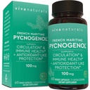 Viva Naturals Pycnogenol - 100 mg Prantsuse meremännikoore ekstrakt - toetab vereringet, antioksüdant-like aktiivsust, liigeseid ja immuunsüsteemi tervist ja funktsiooni - 60 Veggie kapslit