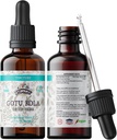Gotu Kola tinktuur, orgaaniline Gotu Kola ekstrakt, Gotu Kola tilgad (Centella Asiatica)