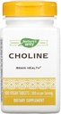 LOODUSED 500Mg 100 Tb koliin, 100 CT