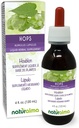 Naturalma Humal (Humulus lupulus) strobilus või koonus (Naislilled) Alkoholivaba tinktuur - 4 fl oz Vedel ekstrakt tilkadena - Taimne täiendus - Vegan