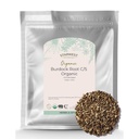 Starwest Botanicals Burdock Root Organic - looduslik antioksüdantide allikas, lahtine maitsetaim tee, riisi, supi ja Stews jaoks, lõigatud ja sifted, sertifitseeritud Kosher, Non-GMO - Bulk 1 lb kott
