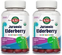 KAL Jurassic Elderberry Kids Gummies | Healthy Immune Support | USDA Organic, Vegan, Gluteenivaba | 30 Serv, 60 Ct (2. pakk)