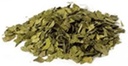 Parim botaanika Ginkgo Leaf Lõika 16 oz.