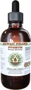 Aafrika kirsi Pygeum Alkoholivaba vedelik ekstrakt, Aafrika kirsi Pygeum (Prunus Africana) Bark Glycerite looduslik taimsete täiendada, Hawaii Pharm, USA 4 oz