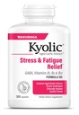 Kyolic Aged Küüslauguekstrakt Formula 101, Stress ja väsimus Relief, 300 kapslit.