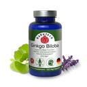Ginkgo Biloba, mälu, fookuse ja ajufunktsiooni tugi, antioksüdant-rikas, taimepõhine, GMP, taimsed nootroopsed taimetoitlased kapslid, 120 loendit (1. pakk)