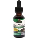 Looduse vastus Black Walnut Green Hull Extract 1oz - Alkoholivaba, Gluteenivaba, Kosher - Black Walnut, Kosher - Black Walnut Clove Parasite Cleanse - Detox & Maks Toetus, Seedetrakti Puhastaja