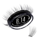 Lashify Bold 14mm Gossamer DIY ripsmepikendused Täitke, must, lihtne vale ripsmed loodusliku välimuse jaoks
