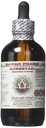 Horsetail Alkoholivaba vedelik ekstrakt, orgaaniline horsetail (Equisetum arvense) Kuivatatud ürdi Glycerite Hawaii Pharm Looduslik Taimne täiendus 4 oz
