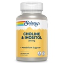 SOLARAY koliin & inositool 250 mg | Kahe toitaine kombinatsioon tervisliku rasva metabolismi jaoks, ajufunktsiooni tugi | 100 VegCaps