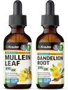 BIO KRAUTER Mullein Tinktuur 2 Fl. Oz. & Dandelion Tinktuur 2 Fl. Oz.