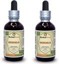 Grindelia (Grindelia Camporum) tinktuur, kuivatatud ürdi vedelik ekstrakt (Brand Name: HerbalTerra, Proudly Made in USA) 2x2 fl.oz (2x60 ml)