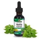 Nature's Answer Nettle Leaf 1oz Extract | Eesnäärme supp | kontsentreeritud tumeroheline nõgesleheline taimsete toidulisand | Mitte-GMO, Kosher, Gluteenivaba & Alkoholivaba | üksikarv