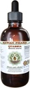 Quassia Alcohol-Free Vedel Extract, Quassia (Quassia Amara) Dried Bark Glycerite Natural Taimne täiendus, Hawaii Pharm, USA 2 fl.oz