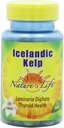 Nature's Life Kelp, islandi keel, 41 Mg, Laminaria Digitata, 250 tabletti, (pakk 2)