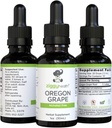Premium Organic Oregon Viinamarjajuure tinktuur - Alkoholivaba ekstrakt, 1oz | Taimne tugi | Ziggy Tervis