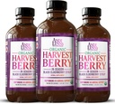 Andi Lynn's Organic Harvest Berry Syrup for Kids and Adults - Real Honey Elderberry Syrup for Immune Support - Therapeutic Formula - 4 Fl. Oz (Pack of 3)