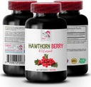 viirpuu marjakapslid - HAWTHORN BERRIES EXTRACT - viirpuu ekstrakti lisand, viirpuu marja ekstrakti kapslid, marjaekstrakti pulber, metsmarja energia, viirpuu energia pillid 1 pudel 60 kapslit
