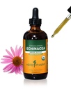 Herb Pharm Sertifitseeritud Orgaaniline Echinacea Juur Vedelik Ekstrakt immuunsüsteemi toetuseks, Orgaaniline Roosalkohol, 4 Ounce