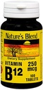 Looduse segu NAT B-vitamiin B12 TB, 100 loend