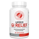 Silver Fern GI Relief - Natural Taimne täiendus - Kõik Natural Artichoke Leaf Extract, Ingveri juure ekstrakt, ja GutGuard Lagrits Flavonoidid (1 pudel - 60 kapslit - 30 päeva pakkumine)
