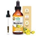 Botaaniline valik Mullein Leaf Vedelikekstrakt, alkoholivaba, gluteenivaba, traditsiooniline hingamisteede tugi 1 Fl. Oz.