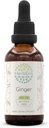 HerbEra Ingver B60 Alkoholivaba taimeekstrakti tinktuur, ülikontsentreeritud ingver (Zingiber officinale) 2 fl oz