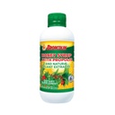Broncolin Honey Syrup koos taruvaiguga, siirup looduslike taimeekstraktidega, et värskendada oma kurku, looduslikud koostisosad, Elderberry, Eukalüpt, piparmündiõli, 11,4 Oz, pudel