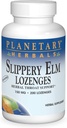 PLANETARY HERBALS Slippery Elm Lozenges, Maitsestamata, 200 krahv