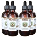 Enesetervislik alkoholivaba vedelik ekstrakt, orgaaniline enesehooldus (Prunella Vulgaris) Kuivatatud ürdi Glycerite looduslik taimelisa, Hawaii Pharm, USA 4x4 fl.oz