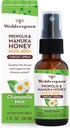 Wedderspoon Propolis ja Manuka Honey Throat Spray, Kummel & Mint, 1 Fl Oz (pakk 1), Sore Throat Relief, Natural Immun Support