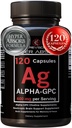 Alpha GPC täiendus ja bioperiin hüperabsorptsiooni jaoks - 120 Count, Alpha-GPC 600mg per Serving - Nootroopika mälu, fookuse, energia ja ajami jaoks - koliinilisandid atsetüülkoliini suurendamiseks, valmistatud USA-s