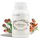 CheezhengHimalaya Rhodiola ja Goji Berry igapäevane lisand, energia toetamine, vaimne rahulikkus, suurendab seedimist, parandab immuunsust, parandab hapniku kasutamist, Tiibeti looduslikud maitsetaimed, 90 Veggie kapslit