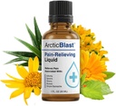 N Labs Arctic Blast Premium Topical Pain Relief tilgad – Kiire neelavad DMSO, Menthol & Camphor seljale, põlvele, õlale, liigesele ja lihasvalule – Cooling Rub Formula – Valmistatud USAs – 1 fl oz