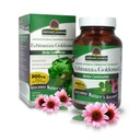 Looduse vastus Echinacea & Goldenseal | Toidulisand | Toetab tervislikku immuunsüsteemi | Mitte-GMO & Kosher sertifitseeritud | Taimetoitlased / Vegani kapslid 90ct