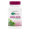 Natures Plus taimsed toimeained Ginkgo Biloba, laiendatud vabanemine - 120 mg, 60 vegan-tabletti - taimetoitlane, gluteenivaba - 60 serveerimist
