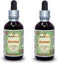 Selfheal (Prunella Vulgaris) Glycerite, Organic Dried Herb Alkohol-Vaba Vedel Ekstrakt (Brändinimetus: HerbalTerra, Proudly made in USA) 2x2 fl.oz (2x60 ml)