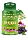 Echinacea Goldenseal Kapslid - 10 in 1 Immune Support Supplement - 1455mg - Vegan Echinacea Kapslid täiendus valmistatud orgaaniliste tervete toitudega - Taimse immuunsüsteemi tugi - 2 kuu pakkumine