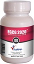 EGCG- 1000 mg Green Tea Ext Kapsel ( 60 kapslit )