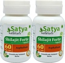 Shilajit Forte Capsules 500 mg. 60 Veg. Kapsel | Shilajit (Asfaltum) Ekstraktsioon Kapslid meestele ja naistele | Ayurveda Taimne Täiendus/ Abinõud | 10: 1 Forte (2 pudelit 60 kapslit)