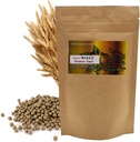Natural Organic Breweri pärmipill 환 3.52(100g) / Naiste ja meeste immuunsuse ja närvisüsteemi täiendused