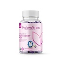Hyland's Kids Organic Elderberry Plus Gummies, orgaaniline must leedripuu ZINC ja C-vitamiiniga, immuuntoetus lastele, 48 Vegan Gummies