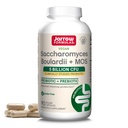 Jarrow valemid Saccharomyces Boulardii + MOS probiootikumid seedetrakti tervise ja soolestiku toetamiseks - 5 miljardit CFU per Serving - 90 hilinenud vabastamiskapslit - probiootikum + prebiootikum - 90 serveerimist
