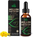 Mullein Leaf ekstrakt kopsudele - Mullein tilgad hingamisteede tervise toetamiseks Lung Detox Cleanse - Vegan Suhkruvaba Gluteenivaba - Vedel täiendus meestele 2fl. oz (60 ml) (1 pakend)