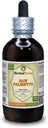 Saw Palmetto (Serenoa Repens) Tinktuur, Orgaaniline Kuivatatud Marjad Vedel Ekstrakt (Brand Name: HerbalTerra, Proudly Made in USA) 4 fl.oz (120 ml)
